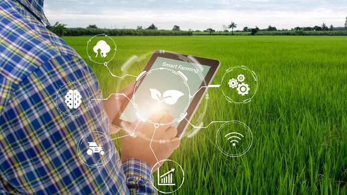 Agriculteur utilisant une tablette dans un champ pour l'agriculture de précision avec Recolt'IQ